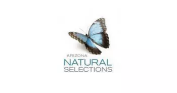 Arizona Natural Selections of Mesa