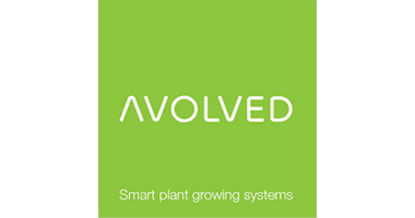 Avolved
