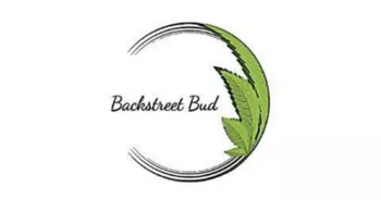 BACKSTREET BUD LLC - STILWELL