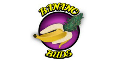 Banano Buds