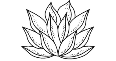 Be Well Botanicals