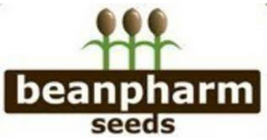 Bean Pharm Seeds