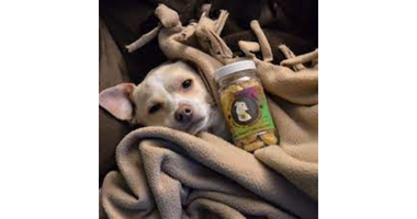 BennyÃ¢â‚¬â„¢s Healthy Hemp