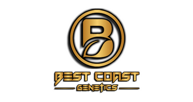 Best Coast Genetics