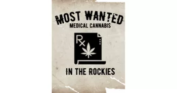 BEST MEDS LLC