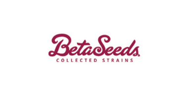 Beta Seeds Bank