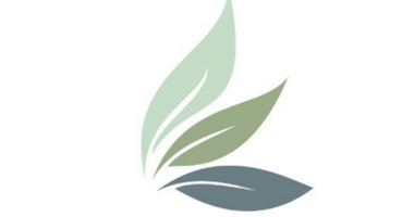 Bizchit