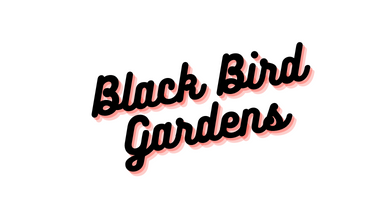 Black Bird Gardens