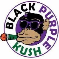 BLACK PURPLE KUSH - TULSA