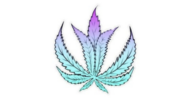 Blazin' Skywalker