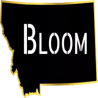 Bloom - Townsend