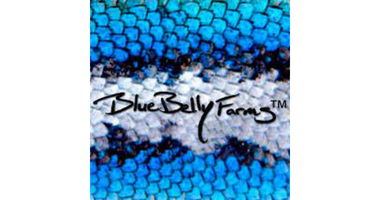 Blue Belly Farms