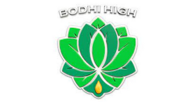 Bodhi High