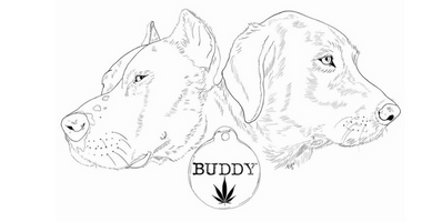 Buddy Carts