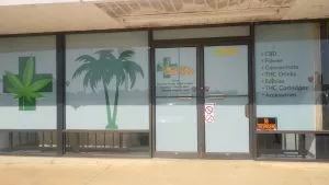 CALI VIBES - LAWTON
