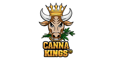 Canna Kings