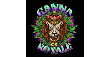 Canna Royale