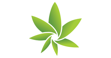 Cannabis Camera
