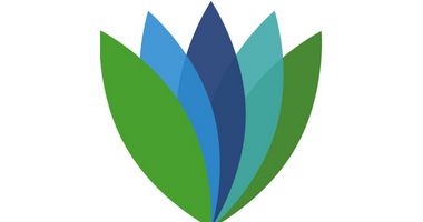 Cannabis Capital