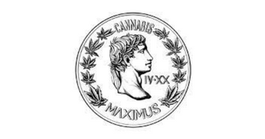 Cannabis Maximus