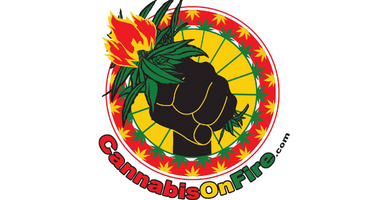 Cannabis On Fire