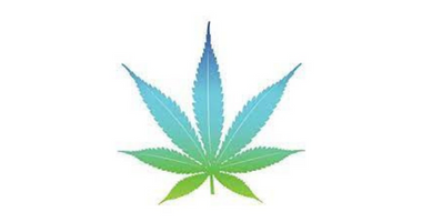 CannaDNA