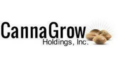 Cannagrow Holdings Inc
