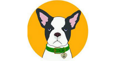 CBD Dog Health