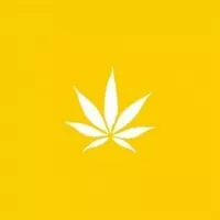 Coastal Dispensary - West LA