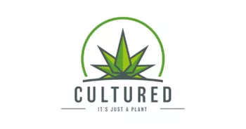 THE CULTURED CANNABIS CO