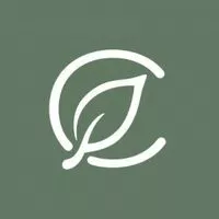 CURALEAF MASSACHUSETTS Oxford