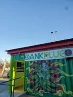 DANK PLUG - OKLAHOMA CITY