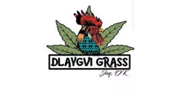 DLAYGVI GRASS, LLC - JAY