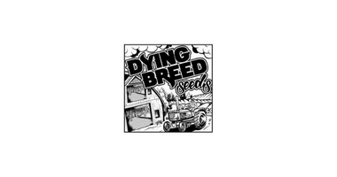 Dying Breed Seeds