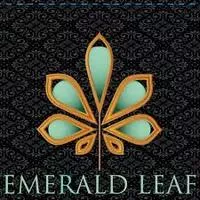 EMERALD LEAF APOTHECARY LLC - MCALESTER