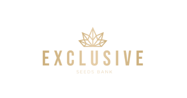 Exclusive Seeds Bank