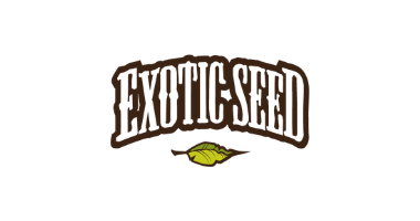 Exotic Seeds