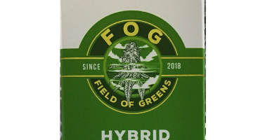 Field of Greens