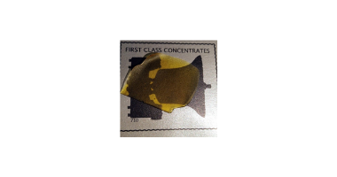 First Class Concentrates