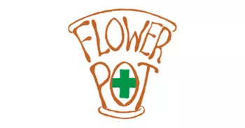 FLOWER POT