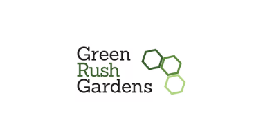 Green Rush Gardens LLC