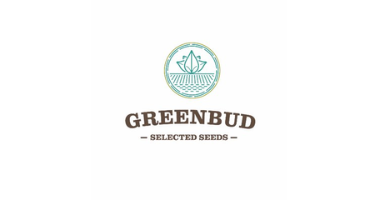 Greenbud Seeds