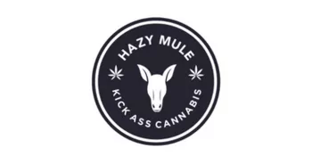 HAZY MULE - TUTTLE
