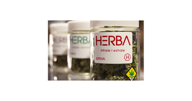 Herba