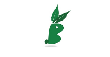 Herb's Oil By My Weed Bunny