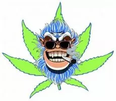 HIGHBLOOM ARTISAN CANNABIS - EDMOND