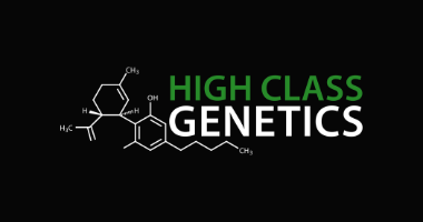 Higher Class Genetics
