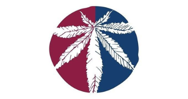 ioVia CBD & THC Solutions