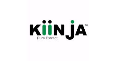 Kiinja Corporation