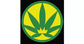 KINGS CANNABIZ